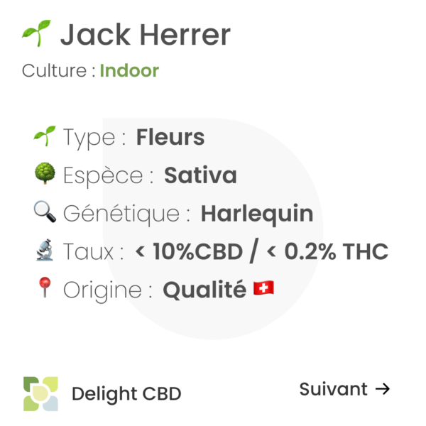 Delight CBD - Jack Herrer 1