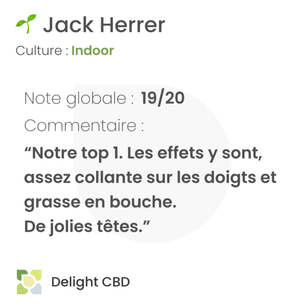 Delight CBD - Jack Herrer