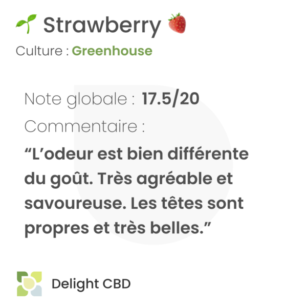 Delight CBD - Strawberry 1