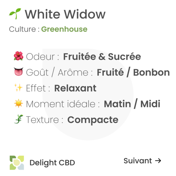 Delight CBD - White Widow 2